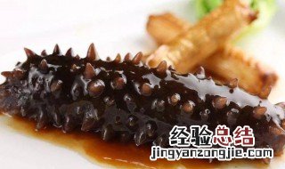 贝蓉海参怎么做 海参咋做呀