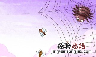 家里有大蜘蛛怎么办 家里有大蜘蛛怎么办会咬人吗