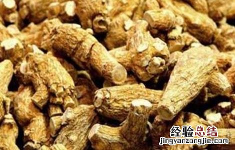 西洋参功效与作用及禁忌人群 西洋参功效与作用及禁忌