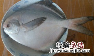 镜鱼怎么做好吃窍门 镜鱼怎么做好吃