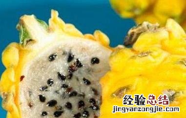 麒麟果的功效与吃法 麒麟果的功效与作用及禁忌