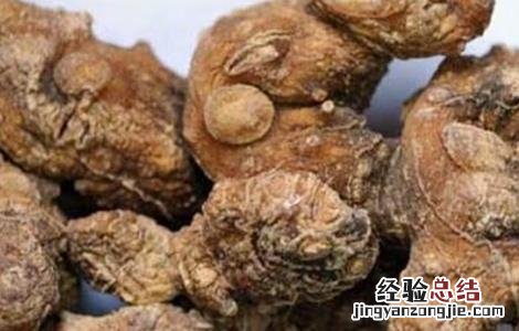 黄精的功效与作用的功能 黄精的功效与作用