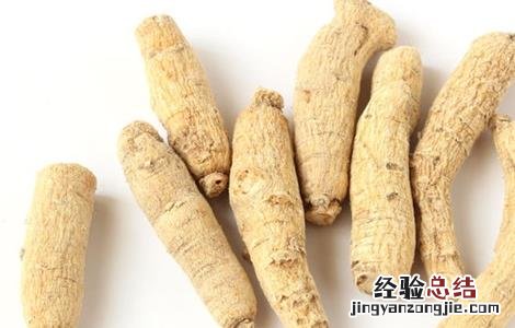 西洋参功效与作用及食用禁忌 西洋参功效和作用及禁忌