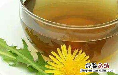 蒲公英泡水喝的功效 蒲公英泡水喝的功效和副作用