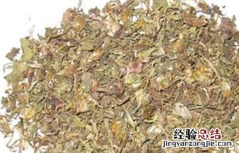 蒲公英泡水喝的功效 蒲公英泡水喝的功效和副作用