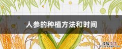 人参的种植方法和时间是什么 人参的种植方法和时间