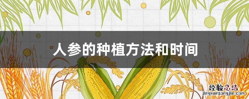 人参的种植方法和时间是什么 人参的种植方法和时间