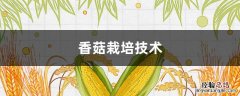 香菇栽培技术 香菇栽培技术论文