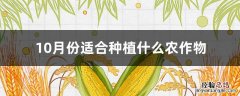 10月份适合种植什么农作物呢 10月份适合种植什么农作物