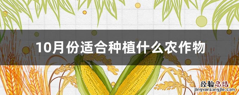 10月份适合种植什么农作物呢 10月份适合种植什么农作物