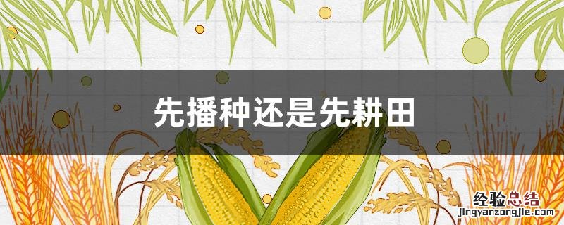先播种还是先耕田 先耕田再播种还是先播种再耕田