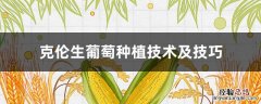 克伦生葡萄种植技术及技巧视频 克伦生葡萄种植技术及技巧