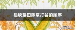 插秧耕田除草打谷的顺序 插秧耕田除草打谷的顺序二年级
