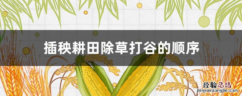插秧耕田除草打谷的顺序 插秧耕田除草打谷的顺序二年级