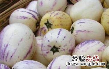 香瓜茄的功效与作用是什么 香瓜茄的功效与作用