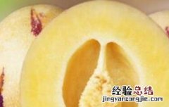 香瓜茄的功效与作用是什么 香瓜茄的功效与作用