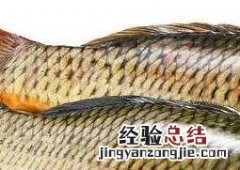 鲤鱼和草鱼的区别哪个好吃 鲤鱼和草鱼的区别
