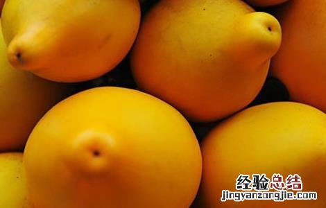 黄金果的功效与作用 新西兰黄金果的功效与作用