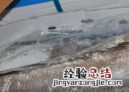 油鱼和鳕鱼的区别图片 鳕鱼和银鳕鱼的区别