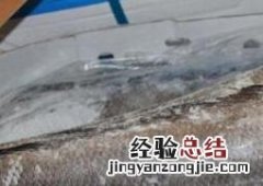 油鱼和鳕鱼的区别图片 鳕鱼和银鳕鱼的区别