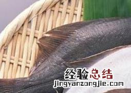 比目鱼和多宝鱼的区别图片 比目鱼和多宝鱼的区别
