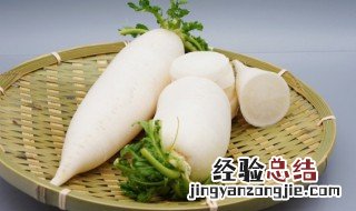 炖白萝卜作用及食用方法 炖白萝卜的做法大全
