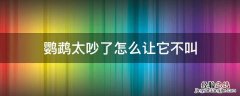 鹦鹉太吵了怎么让它不叫 牡丹鹦鹉太吵了怎么让它不叫