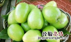 白糖青枣腌制方法 白糖青枣腌制方法窍门