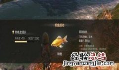 明日之后锦鲤的概率 明日之后锦鲤出现几率
