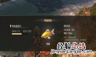 明日之后锦鲤的概率 明日之后锦鲤出现几率