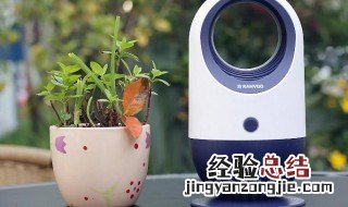 灭蚊灯对皮肤有害吗 灭蚊灯对身体有没有害