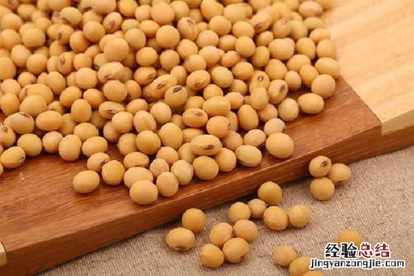 种黄豆被鸟吃怎么办，如何预防效果好