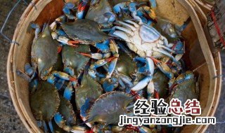 河蟹死了还能吃了吗 能不能吃死了的河蟹