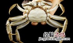 大闸蟹被冷冻后死了还能吃吗 能不能吃被冷冻死的大闸蟹