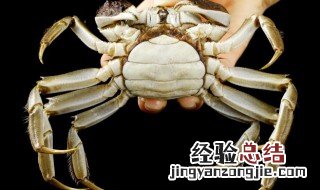 大闸蟹被冷冻后死了还能吃吗 能不能吃被冷冻死的大闸蟹