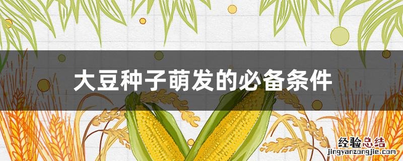 大豆种子萌发的必备条件 大豆种子萌发的必备条件有