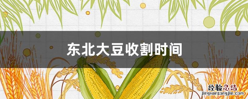 东北大豆收割时间 东北大豆收割时间是几月份