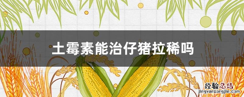 仔猪拉稀用土霉素可以吗 土霉素能治仔猪拉稀吗
