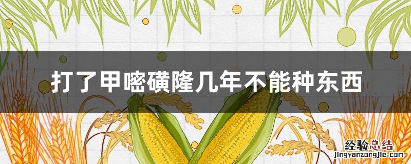 打了甲嘧磺隆几年不能种东西 甲嘧磺隆在土地多久失效
