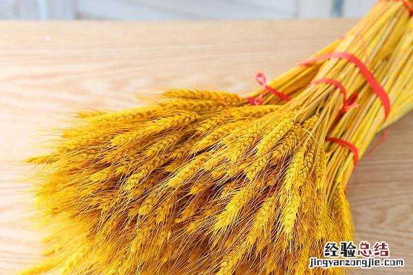 小麦什么时候喷芸苔素，如何喷施效果好