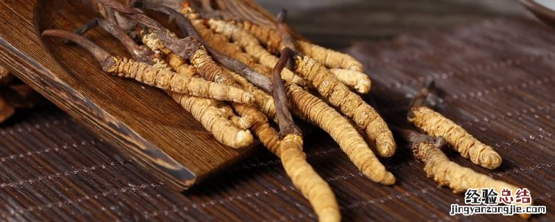 冬虫夏草口粮香型风格特点是什么 冬虫夏草口粮香型风格特点是什么?