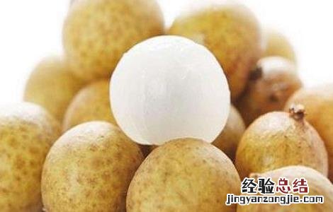 桂圆皮的功效与作用 桂圆皮的功效与作用及禁忌