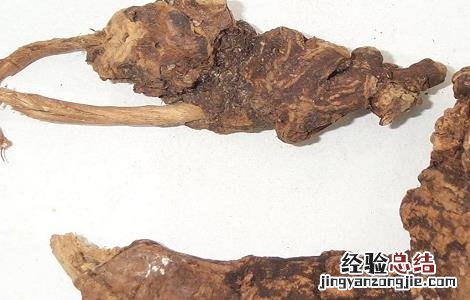 山豆根的功效与作用 山豆根的功效与作用与主治