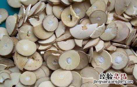 桑枝的功效与作用与主治 桑枝的功效与作用