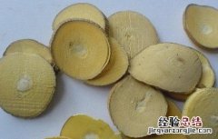 桑枝的功效与作用与主治 桑枝的功效与作用