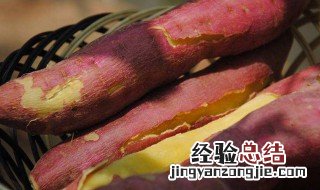 梦见种红薯是什么预兆 昨晚梦见种红薯是什么意思