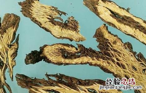 漏芦的功效与作用禁忌 漏芦的功效与作用