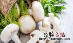 口蘑的营养价值与功效跟蔬菜一样吗 口蘑的营养价值