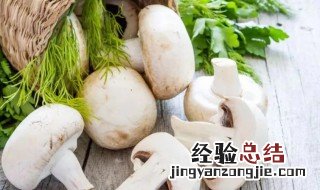 口蘑的营养价值与功效跟蔬菜一样吗 口蘑的营养价值
