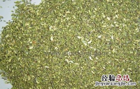 槐米泡水的功效与副作用 槐米泡水的功效与副作用禁忌